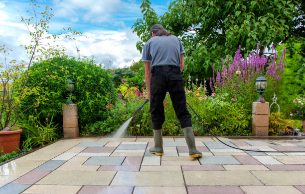 Best Fence Cleaning  in Los Alamos, CA